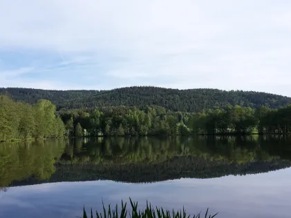 Frauenreuther Weiher