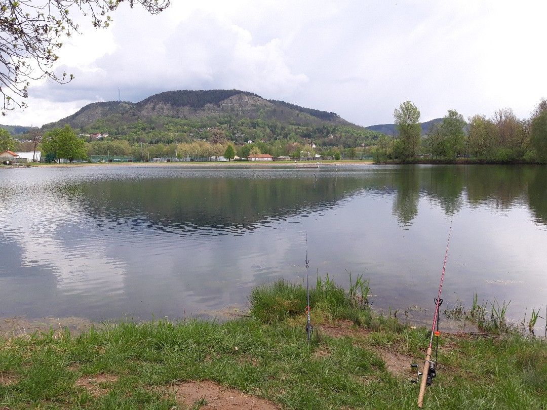 Schleichersee (Jena) angeln