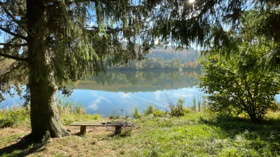 Alter Baggersee Westheim (Marsberg)
