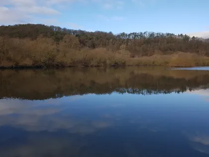 Mecklarer Teich