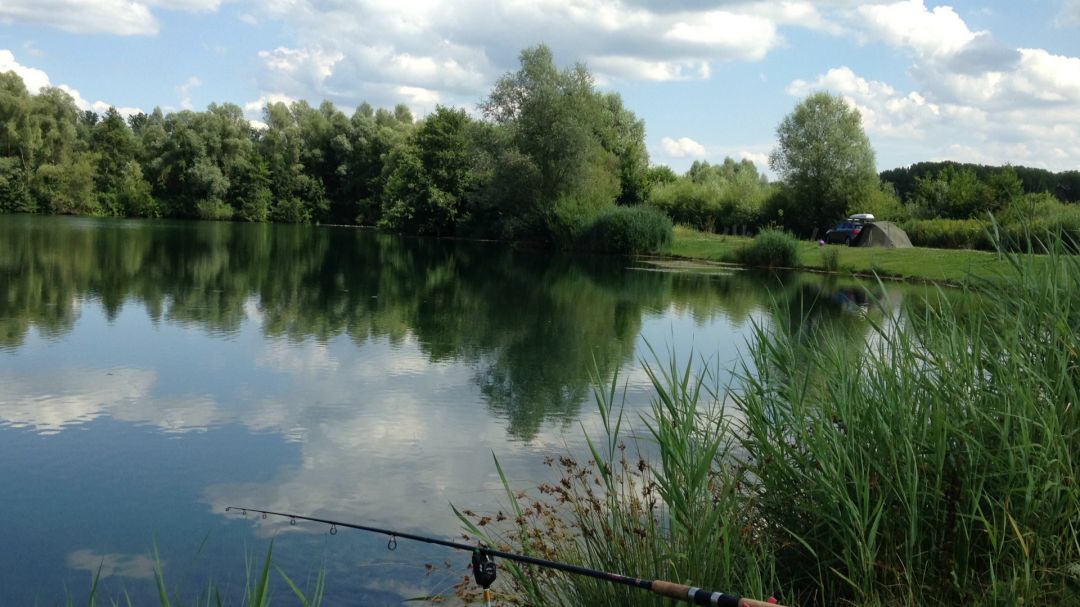 Voggsee angeln