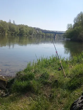 Rhein (Neuenburg am Rhein)