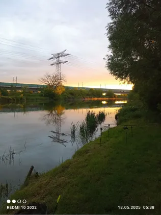 Saale (Hohenweiden)