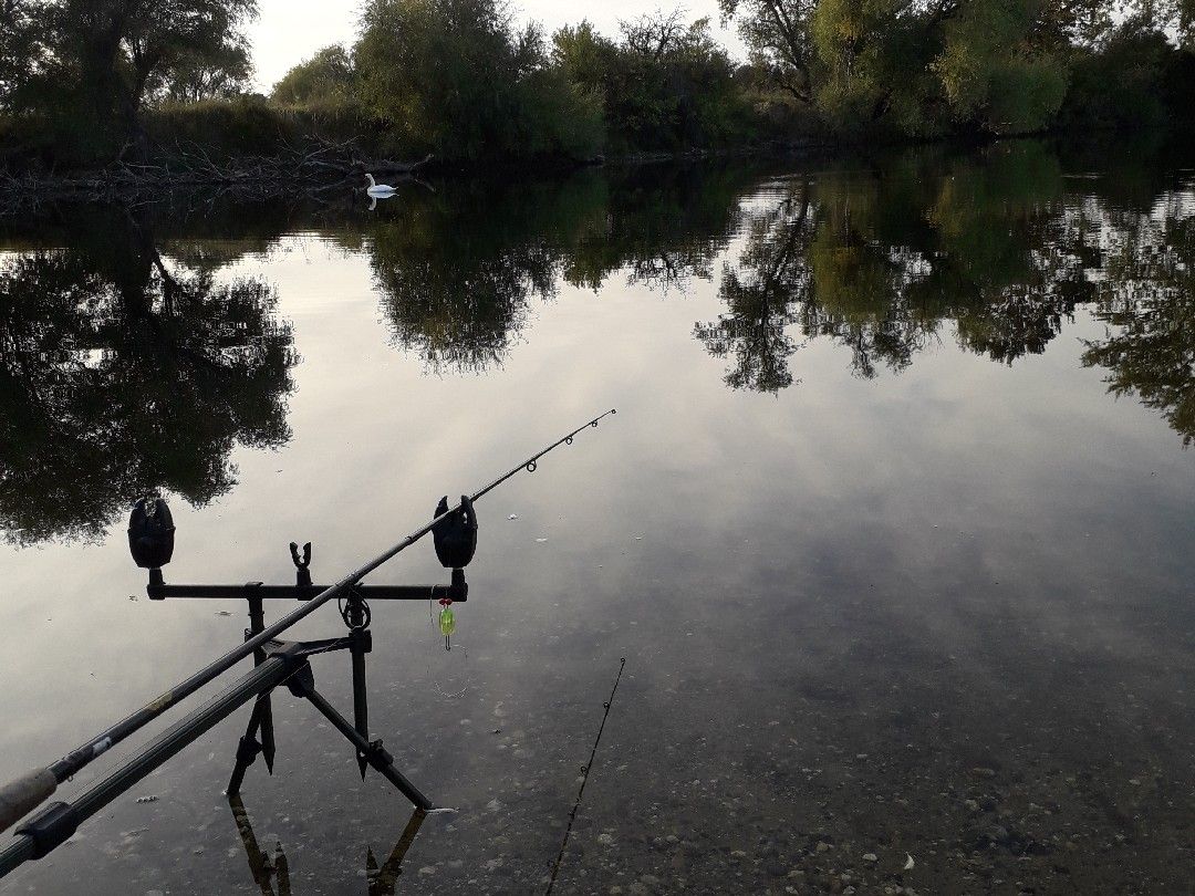 Gänseteich Zwintschöna angeln