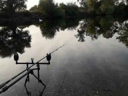 Gänseteich Zwintschöna