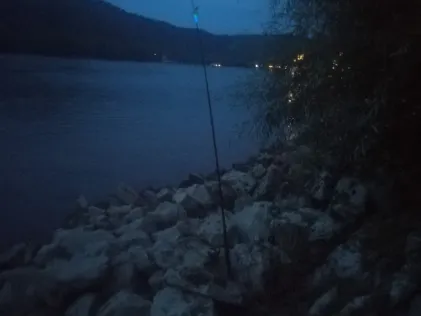 Rhein (Boppard)