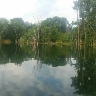 Lehngutbruch (Herzfelde)