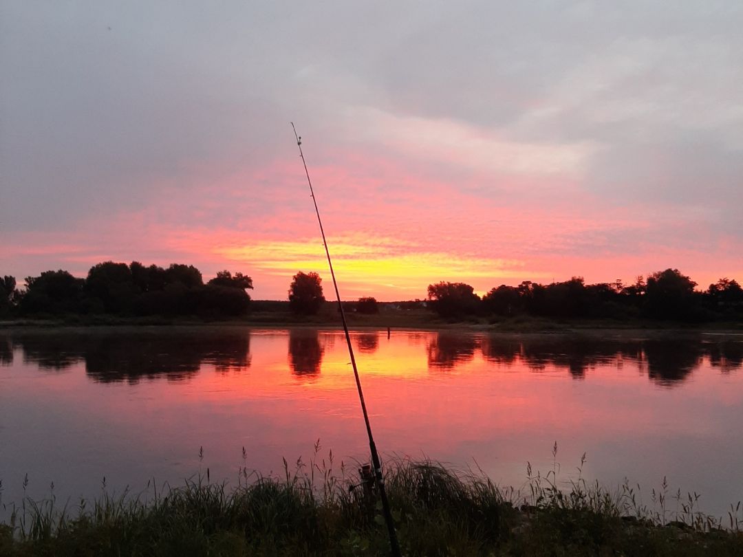 Elbe (Derben-Ferchland) angeln