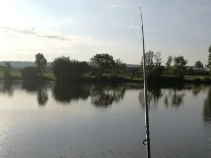 Neckar (Gundelsheim)