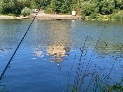 Neckar (Gundelsheim)