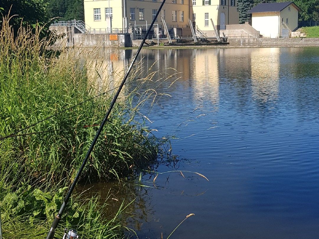 Angeln in Creuzburg