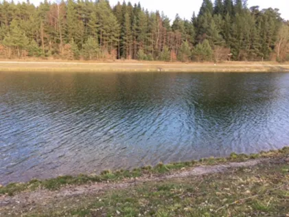 Main-Donau-Kanal (Roth)
