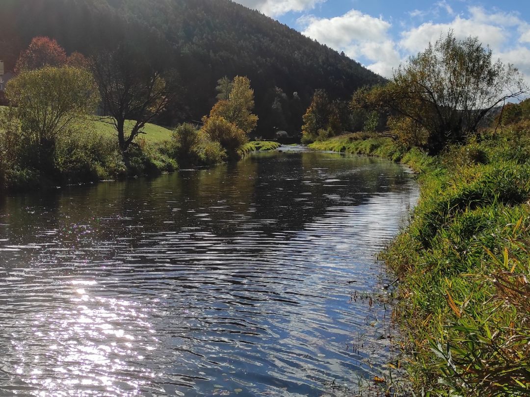 Angeln in Mühlheim an der Donau