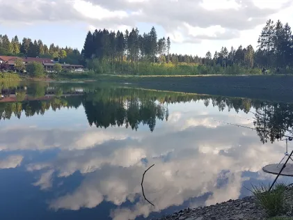 Oberer Grumbacher Teich