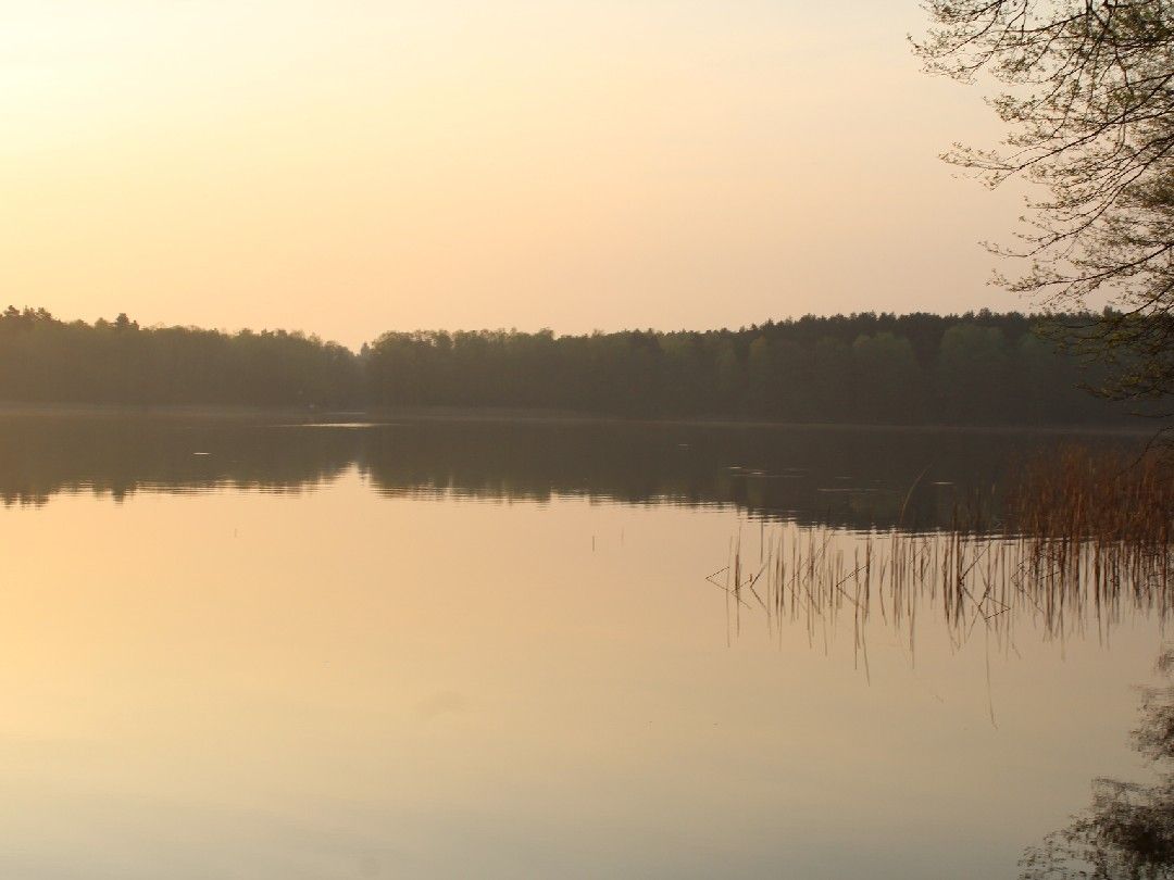 Möllensee (Lindow) angeln