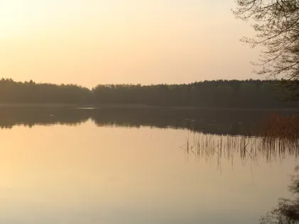 Möllensee (Lindow)