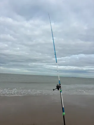 Nordsee (Cadzand)