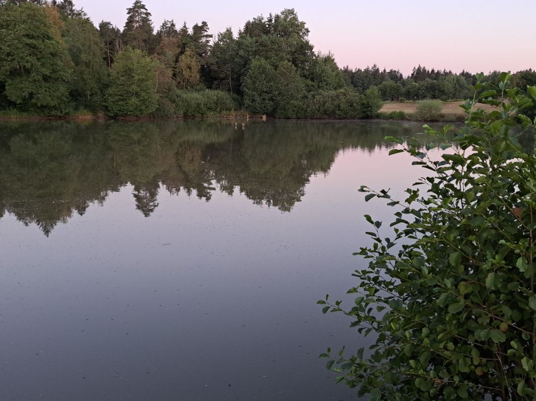 Weiher Vorderwald angeln