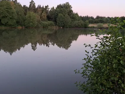 Weiher Vorderwald