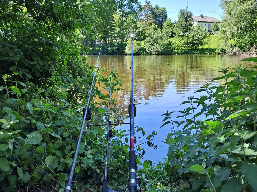 Grünkrauter Weiher angeln