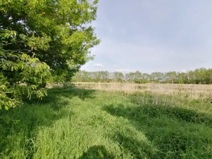 Großer Röthepfuhl