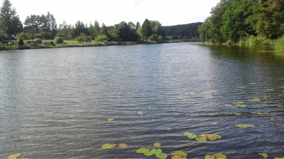 Kirch-Rosiner See