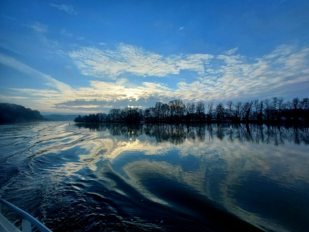 Donau (Kapfelberg) angeln