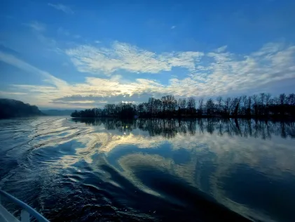 Donau (Kapfelberg)