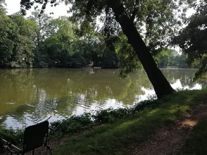 Merzdorfer Teich