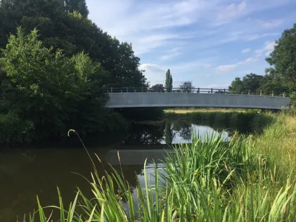 Münstersche Aa (Greven)
