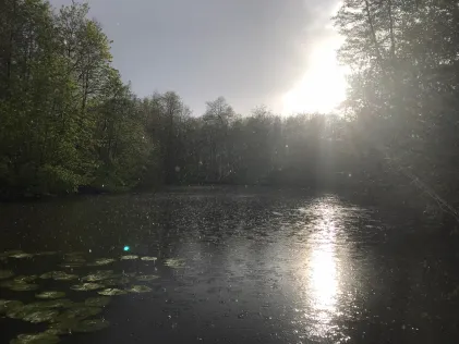 Werburgergräfte (Spenge)