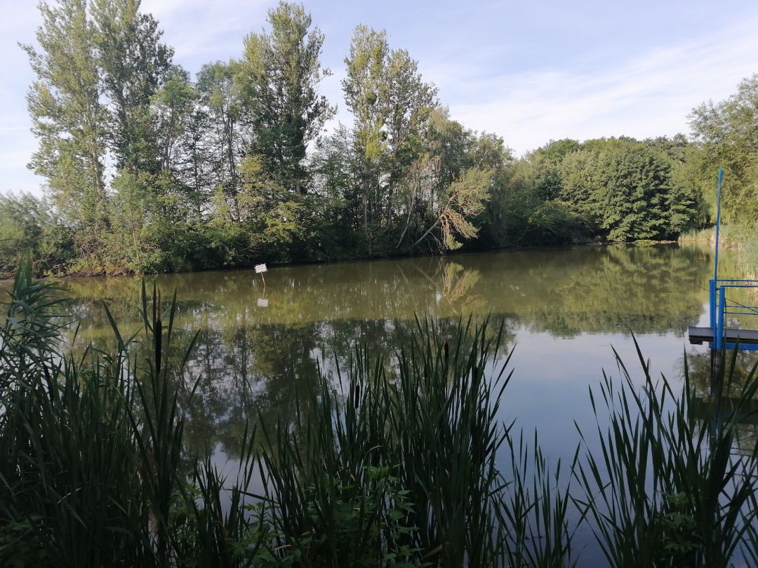 Graitschener See angeln