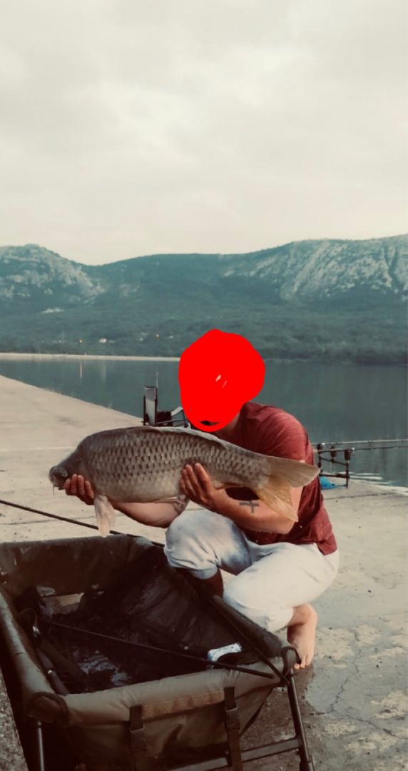 Tribaljsko angeln