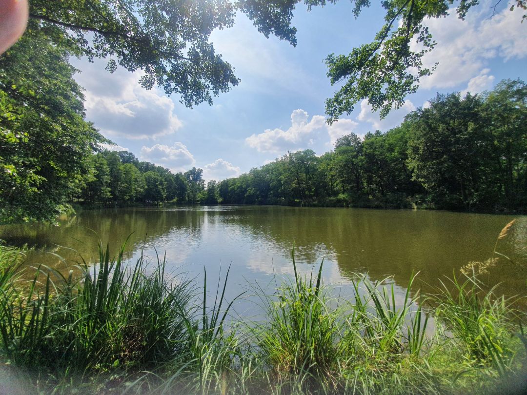 Ziegelgehege-Teich Abtlg. 321 angeln