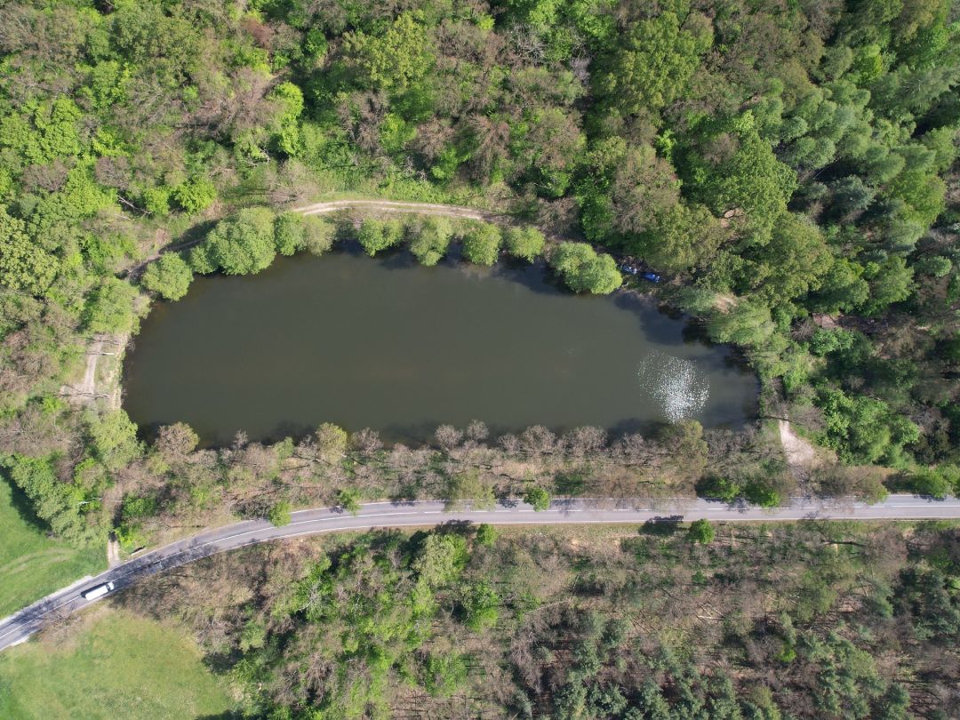 Ziegelgehege-Teich Abtlg. 321 angeln
