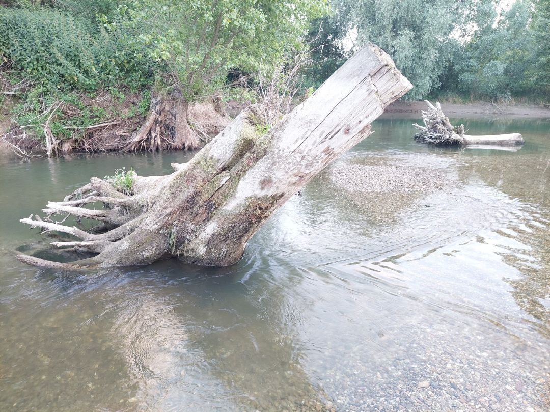 Fischersgrund (Herrenwasser) angeln