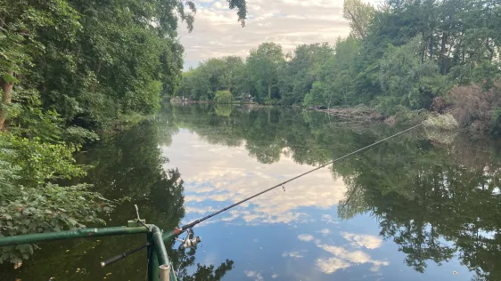Nieper Kuhlen