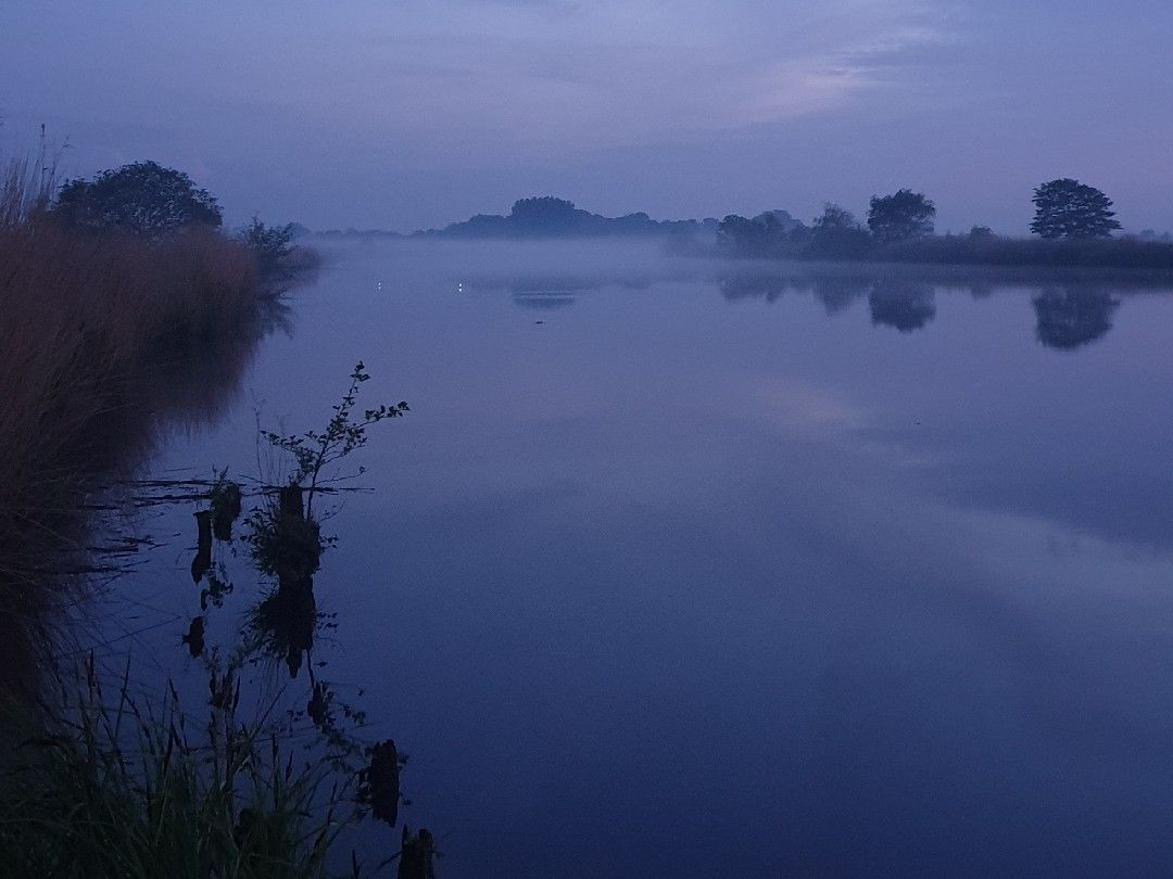 Lune (Loxstedt) angeln