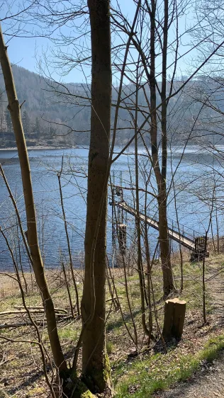 Oderstausee (Bad Lauterberg)