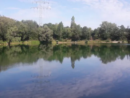 Vereinssee ASV Früh Auf Wesseling