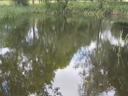 Pernieker Dorfteich (Perniek)