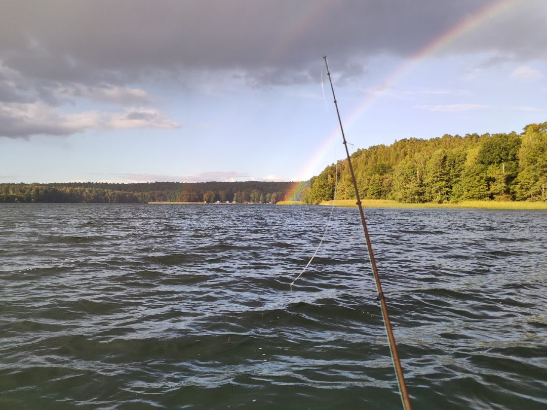 Werbellinsee (Joachimsthal) angeln