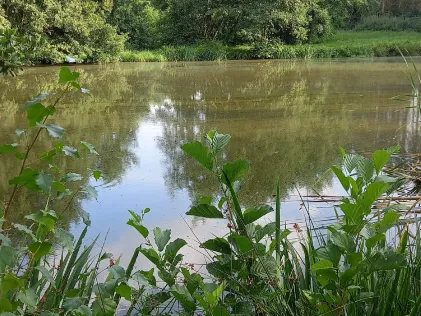 Stöver Teiche (Aldrup)