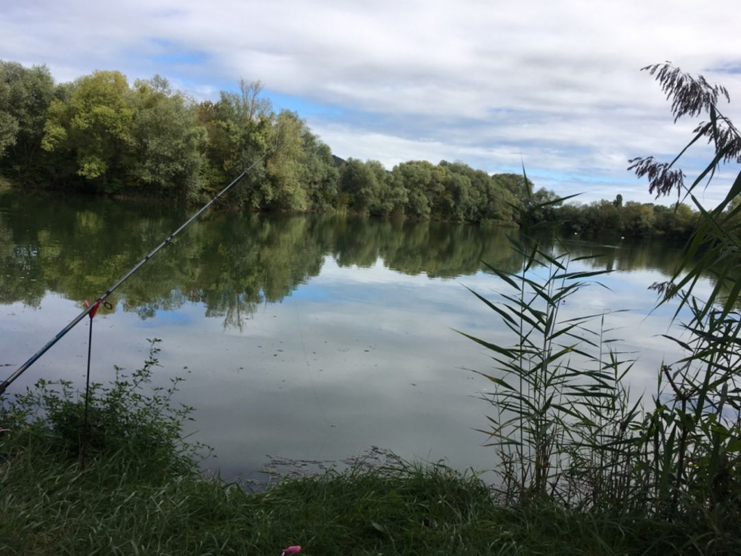 Baggersee Moritzen Bach angeln