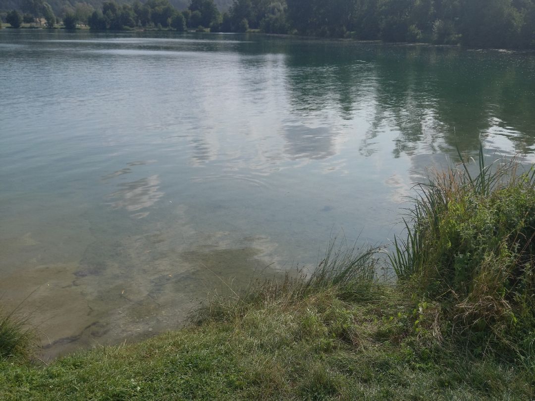 Kratzmühlsee angeln