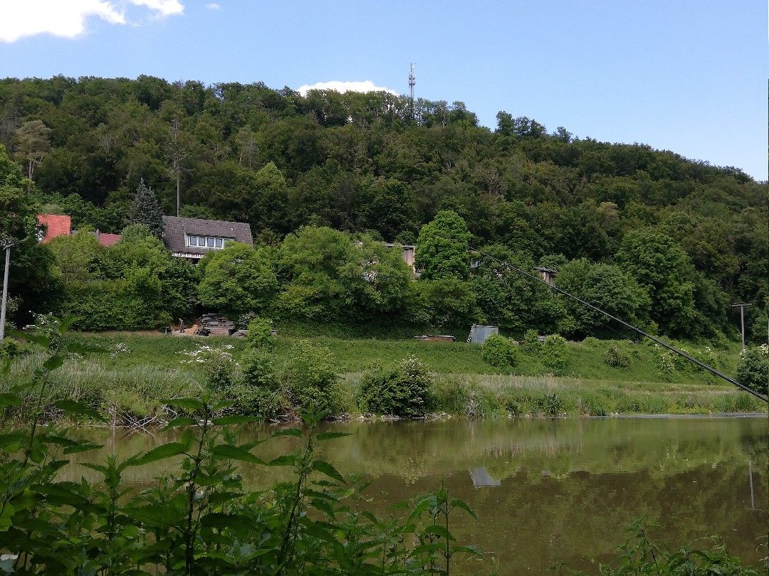 Altmühl (Kipfenberg) angeln