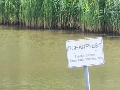 Jümme-Altarm Scharpneß