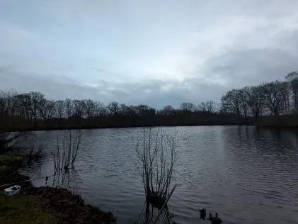 Bünzer Teich
