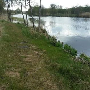 Kremmener Rhin