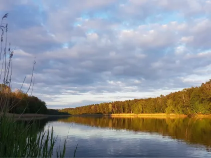 Beetzer See